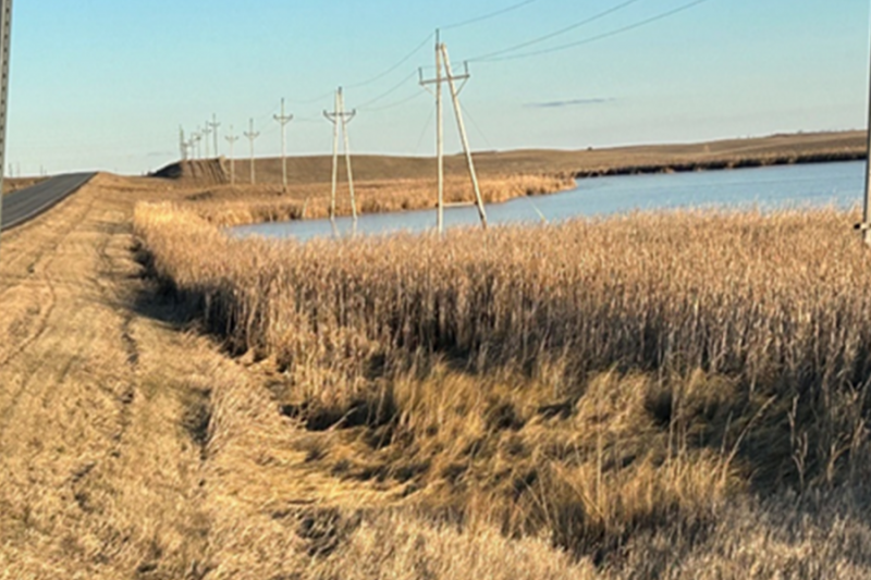 North Dakota prairie with tall dead grass, telephone poles and a large pond in the background