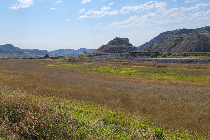 North Dakota prairie with tall wild grasses and large badland bluffs in the background